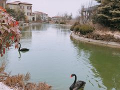 -芭东小镇温泉