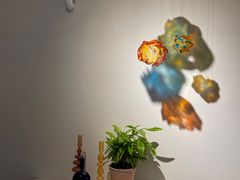 -Lao+ Space