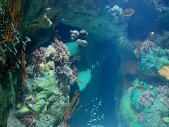-珠海长隆海洋王国