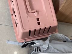 -瑞鹏宠物医院·夜间急症·心超·猫科(祖庙分店)