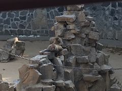 -太子山公园(园东路)