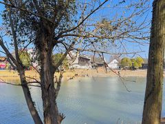 -宁波杭州湾国家湿地公园