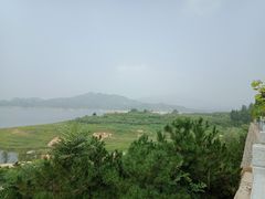 -李家庄村