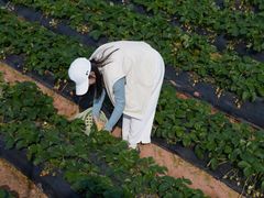 -任达丞国农庄(任达山庄店)