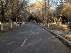 -长白岛森林公园