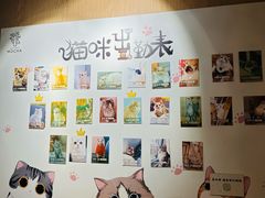 -MOCHA明星猫咖(田子坊店)