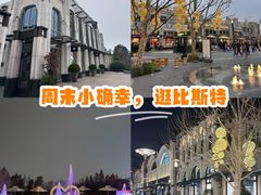 -比斯特上海购物村精品奥特莱斯