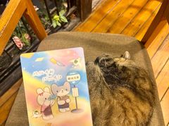 -猫的天空之城概念书店(杭州南宋御街店)