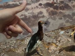 -中国湿地博物馆