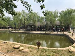 -杨柳青庄园