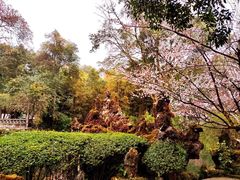 -成都杜甫草堂博物馆