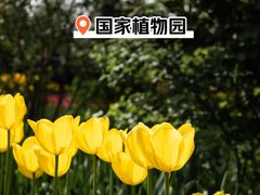 -国家植物园