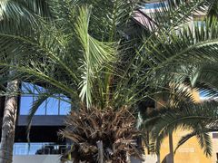 -三亚湾海居雅高铂尔曼度假酒店