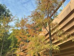 -云溪植物园