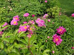 -长春公园(普阳街道)