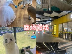 -宝山日月光中心