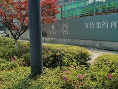 -长兴太湖图影湿地文化园