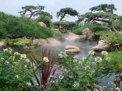 -罗红摄影艺术馆