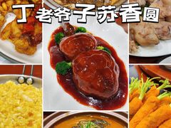 -丁老爷子苏香圆