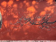 -普照寺