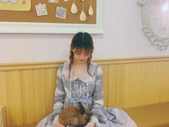 -猫猫幼稚园·撸猫·桌游·电玩