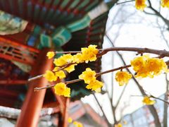 -月坛公园
