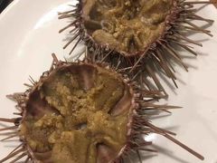 -海胆小馆(东北水饺·春柳店)