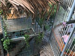 -Rainforest