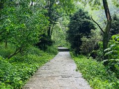 -秦岭终南山世界地质公园翠华山景区
