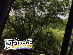 -吉林市朱雀山国家森林公园