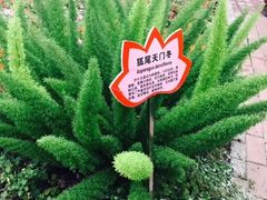 -长春农博园