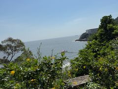 -东澳岛