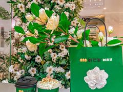 -鲜芒多·杨枝甘露(摩尔城A座10楼店)