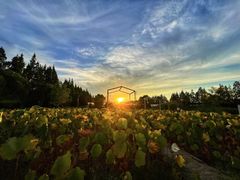 -前小桔亲子创意农场·草莓采摘·露营烧烤