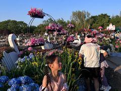 -荷兰花海