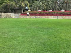 -海南清水湾莱佛士酒店