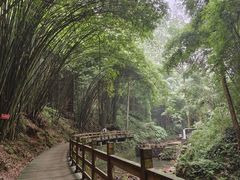 -凤栖山