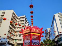 -越秀西湖花市(广州城市广场花卉店)