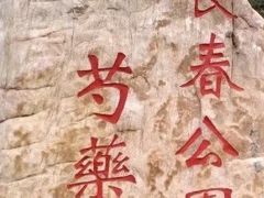 -长春公园(普阳街道)