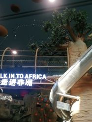 点击看大图 -卡通尼·Safari非洲探索乐园·生日会(金桥国际商业广场店)