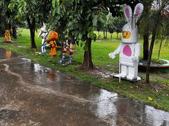 -天下先生态园农庄CS团建露营地(海鸥岛店)