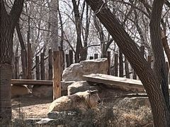 -北京野生动物园