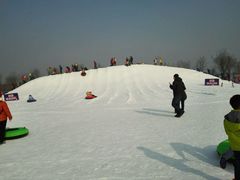 -武清南湖绿博园