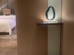 -深圳国际会展中心希尔顿酒店(前海华发冰雪世界店)