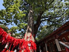 -少华山国家森林公园
