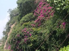 -森林公园(尖草坪区)