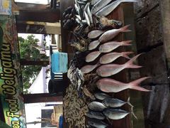 -尼甘布海鲜市场