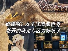 -太平洋海底世界