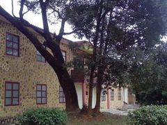 景点-毛泽东寻乌调查纪念馆