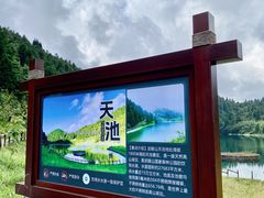 -武陵山森林公园